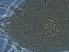  ( - AH28-1)  @11 [ ] CreativeCommons - Attribution Non-Commercial Share-Alike (2020) Unspecified Nanjing Agriculture university