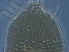  ( - AH28-1)  @11 [ ] CreativeCommons - Attribution Non-Commercial Share-Alike (2020) Unspecified Nanjing Agriculture university