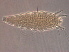  ( - SC7B-2)  @11 [ ] CreativeCommons - Attribution Non-Commercial Share-Alike (2020) Unspecified Nanjing Agriculture university