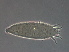  (Aculus lespedezae - H94-4)  @11 [ ] CreativeCommons - Attribution Non-Commercial Share-Alike (2020) Unspecified Nanjing Agriculture university