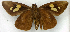  ( - MJC2015_083)  @11 [ ] CC-BY-NC (2021) Matthew J.W. Cock Revert to BOLD
