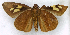  ( - MJC84)  @11 [ ] CC-BY-NC (2021) Matthew J.W. Cock Revert to BOLD