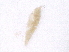  ( - BIOUG51088-B12)  @11 [ ] CreativeCommons - Attribution (2019) CBG Photography Group Centre for Biodiversity Genomics