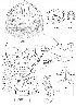  (Aculodes - NJAU-QH2-2)  @11 [ ] CreativeCommons - Attribution Non-Commercial Share-Alike (2020) Unspecified Nanjing Agriculture university