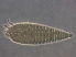  ( - NjauFJ2-2)  @11 [ ] CreativeCommons - Attribution Non-Commercial Share-Alike (2021) Unspecified Nanjing Agriculture university