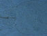  ( - Z334-3)  @11 [ ] CreativeCommons - Attribution Non-Commercial Share-Alike (2020) Unspecified Nanjing Agriculture university