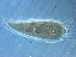  ( - GD140-2)  @11 [ ] CreativeCommons - Attribution Non-Commercial Share-Alike (2021) Unspecified Nanjing Agriculture university