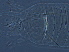  (Tetrameracarus - BIOUG59204-B07)  @11 [ ] CreativeCommons - Attribution Non-Commercial Share-Alike (2020) Unspecified Nanjing Agriculture university