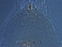  ( - NJAU-HEN18-3)  @11 [ ] CreativeCommons - Attribution Non-Commercial Share-Alike (2020) Unspecified Nanjing Agriculture university