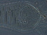  (Cosetacus - GD138-3)  @11 [ ] CreativeCommons - Attribution Non-Commercial Share-Alike (2021) Unspecified Nanjing Agriculture university