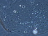  ( - BIOUG59201-G06)  @11 [ ] CreativeCommons - Attribution Non-Commercial Share-Alike (2020) Unspecified Nanjing Agriculture university