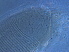  (Jaranasia - CQ3-2)  @11 [ ] CreativeCommons - Attribution Non-Commercial Share-Alike (2021) Unspecified Nanjing Agriculture university
