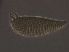  ( - NjauQ330-2)  @11 [ ] CreativeCommons - Attribution Non-Commercial Share-Alike (2020) Unspecified Nanjing Agriculture university