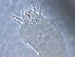  ( - NJAU-QH1-1)  @11 [ ] CreativeCommons - Attribution Non-Commercial Share-Alike (2020) Unspecified Nanjing Agriculture university