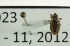  ( - 62-4-023)  @13 [ ] CreativeCommons - Attribution Non-Commercial Share-Alike (2012) Unspecified Unspecified