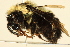  ( - h-m-22-220)  @13 [ ] CreativeCommons - Attribution Non-Commercial Share-Alike (2012) Unspecified Unspecified