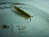  ( - 026_LC_4_12)  @11 [ ] CreativeCommons - Attribution Share-Alike (2025) Unspecified University of Aberdeen
