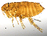  ( - BIOUG08868-A07)  @11 [ ] CreativeCommons - Attribution (2014) CBG Photography Group Centre for Biodiversity Genomics