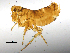  ( - BIOUG08868-A09)  @13 [ ] CreativeCommons - Attribution (2014) CBG Photography Group Centre for Biodiversity Genomics