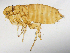  ( - BIOUG08868-D01)  @11 [ ] CreativeCommons - Attribution (2014) CBG Photography Group Centre for Biodiversity Genomics