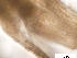  ( - EES156)  @13 [ ] CreativeCommons - Attribution Share-Alike  Unspecified Unspecified