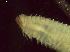  ( - BSD9Bnatr24)  @11 [ ] Copyright (c)  Carol Simon Stellenbosch University