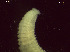  ( - BSD9Bnatr24)  @11 [ ] Copyright (c)  Carol Simon Stellenbosch University