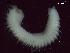  ( - BSD9Periy60)  @11 [ ] Copyright (c)  Carol Simon Stellenbosch University