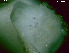  ( - BSD9Periy60)  @11 [ ] Copyright (c)  Carol Simon Stellenbosch University