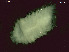  ( - BSD9Periy73)  @11 [ ] Copyright (c)  Carol Simon Stellenbosch University