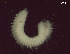  ( - BSD9Periy60)  @11 [ ] Copyright (c)  Carol Simon Stellenbosch University