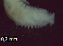  ( - BSD9.3.8_Clay)  @11 [ ] Copyright (c)  Carol Simon Stellenbosch University