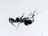  ( - ETKBLF0001)  @13 [ ] No Rights Reserved  Unspecified Unspecified