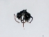  ( - ETKBWM0015)  @13 [ ] No Rights Reserved (2012) Unspecified Unspecified