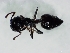  ( - ETKIPI0015)  @12 [ ] No Rights Reserved  Unspecified Unspecified