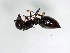  ( - ETKPMB0010)  @12 [ ] No Rights Reserved  Unspecified Unspecified