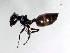  ( - ETKPMB0013)  @12 [ ] No Rights Reserved  Unspecified Unspecified