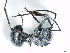  (Polyrhachis gagates - ETKPMT0011)  @13 [ ] No Rights Reserved  Unspecified Unspecified