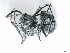  ( - ETKPMT0012)  @12 [ ] No Rights Reserved  Unspecified Unspecified