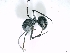  ( - ETKPMT0013)  @12 [ ] No Rights Reserved  Unspecified Unspecified