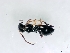  ( - ETKSP0005)  @13 [ ] No Rights Reserved  Unspecified Unspecified