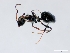 ( - ETKTRB0004)  @13 [ ] No Rights Reserved (2012) Unspecified Unspecified