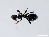  ( - ETKTRB0005)  @13 [ ] No Rights Reserved (2012) Unspecified Unspecified