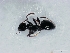  ( - ETKKSB0001)  @14 [ ] No Rights Reserved (2012) Unspecified Unspecified