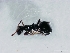  ( - ETKKSB0002)  @13 [ ] No Rights Reserved (2012) Unspecified Unspecified