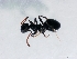  ( - ETKKSB0003)  @14 [ ] No Rights Reserved (2012) Unspecified Unspecified