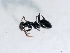  ( - ETKKSB0004)  @14 [ ] No Rights Reserved (2012) Unspecified Unspecified