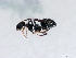  ( - ETKKSB0005)  @14 [ ] No Rights Reserved (2012) Unspecified Unspecified