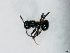  ( - ETKPMT0016)  @13 [ ] No Rights Reserved (2012) Unspecified Unspecified