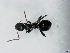  ( - ETKPMT0017)  @14 [ ] No Rights Reserved (2012) Unspecified Unspecified
